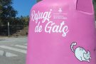 Cardedeu instal·la el primer refugi de gats per millorar la seva qualitat de vida