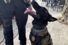 Entra en funcionament la unitat canina de la Policia Local a les Franqueses amb el servei de proximitat