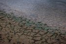 Catalunya, en estat d'alerta per sequera extrema