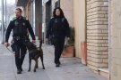 La Policia de Proximitat K9 s'apropa als comerços de les Franqueses per crear vincles de col·laboració