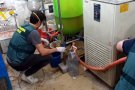 Desmantellen un important laboratori de drogues sintètiques a Granollers