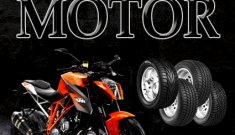 El Món del Motor