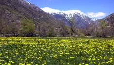 Natura en plena Cerdanya