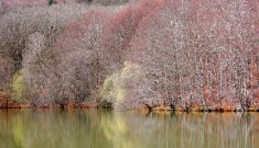 La Coordinadora per a la Salvaguarda del Montseny reclama més mesures per poder conservar aquest espai natural