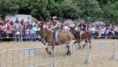 La Fira de Sant Isidre de Cardedeu torna amb les activitats més emblemàtiques i tradicionals