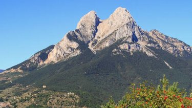 Venta Vedella Ecològica