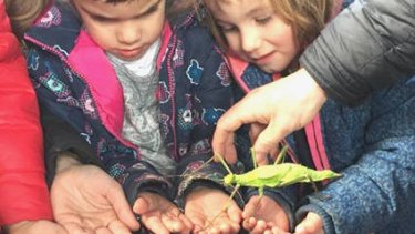 Centre d'apropament a la natura