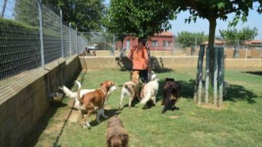 Centre Caní de Pals