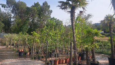 Jardineria Puigdevall