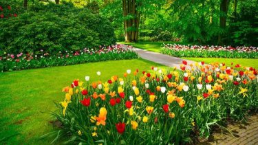 Jayto Font Floristeria