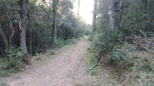El Sot del Guix