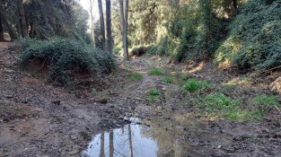 Rutes Cardedeu