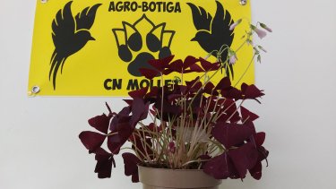 Agrobotiga CN Mollet