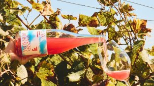 “El meu objectiu és que el vi sigui accessible per a tothom, sense barreres ni elitismes”