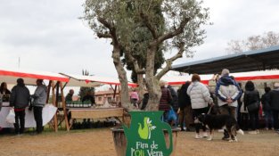 Bigues i Riells del Fai acull la Fira de l’Oli del Vallès i el Mercat del Pa Artesà del 2025