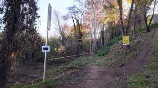 El Bosc de Santa Caterina es renova amb la plantació de 300 arbres autòctons i la canalització de la Font