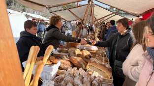 La Fira de l'Oli del Vallès bat rècords d'assistència amb més de 5.000 visitants 