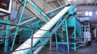 Molí d'oli Can Sapera