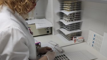 Farmàcia Rosa Lluch del Vallès