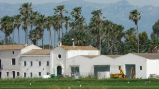 L’Illa de Buda, el tresor natural del Delta de l’Ebre que agonitza en silenci