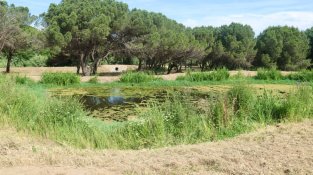 Les basses de Can Gurri