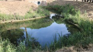 La tercera i darrera bassa de Can Gurri abans de passar l'aigua al riu Tenes