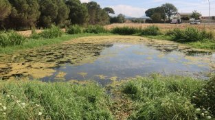La primera de les basses de Can Gurri