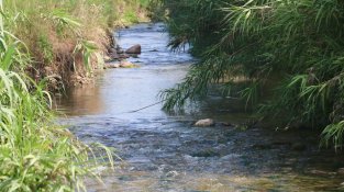 El riu Tenes, al seu pas per Lliçà de Vall