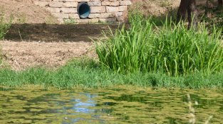 Detall de les basses de Can Gurri