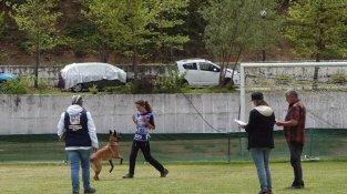 Eva Vicente, de Sant Antoni de Vilamajor, subcampiona del món d’obediència esportiva amb la seva gossa Nymeria