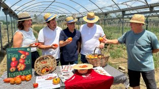 El tomàquet torna a ser protagonista a Santa Eulàlia amb una fira plena de sabors, activitats i novetats gastronòmiques 