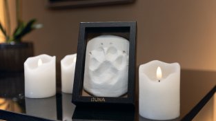 Almascotas, el lloc on les mascotes reben l’últim adeu amb el mateix amor amb el qual han viscut