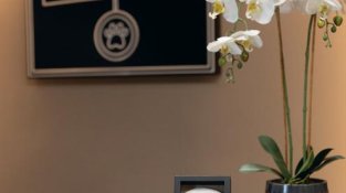 Almascotas, el lloc on les mascotes reben l’últim adeu amb el mateix amor amb el qual han viscut