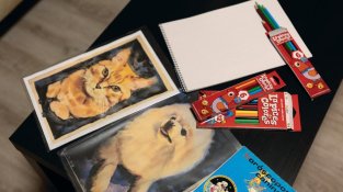 Almascotas, el lloc on les mascotes reben l’últim adeu amb el mateix amor amb el qual han viscut