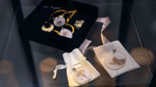 Almascotas, el lloc on les mascotes reben l’últim adeu amb el mateix amor amb el qual han viscut