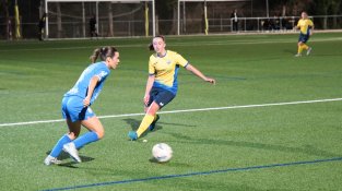 Llerona - Palautordera