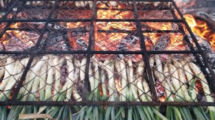 Calçots i calçotades: la tradició catalana que marca la temporada al Vallès