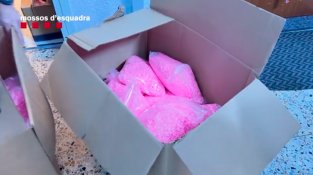 Set detinguts i més de 90 quilos de droga intervinguts en una macrooperació antidroga amb entrades a Rubí, Barcelona i Badalona