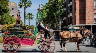 “Els Tres Tombs és l’única festa que es fa a gairebé totes les comarques de Catalunya i durant tot l’any”