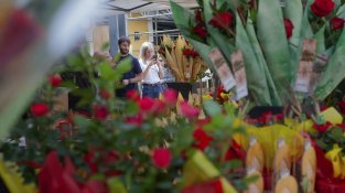 Granollers viu un Sant Jordi de carrer, cultura i emoció amb optimisme entre llibreters i floristes