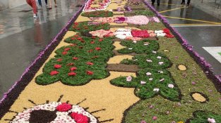 La Garriga tornarà a vestir-se de flors per celebrar un Corpus ple de tradició i cultura popular