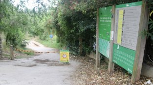 La Generalitat allarga el tancament de Collserola fins després de l’estiu per contenir la pesta porcina africana