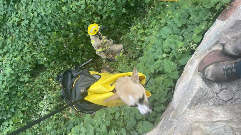 Dotació de Bombers durant el rescat