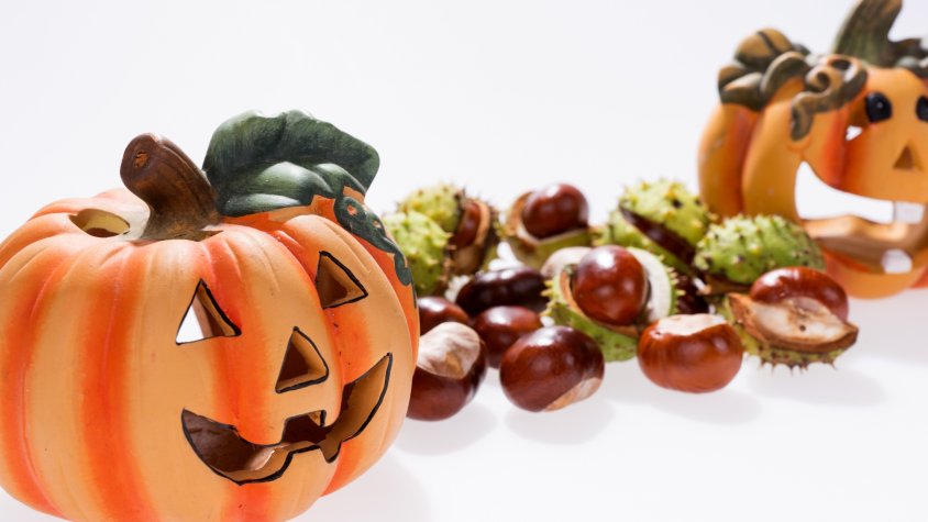 Activitats Castanyada a Sant Feliu de Codines 2024 / Activitats Halloween a Sant Feliu de Codines 2024