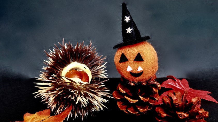 Activitats Castanyada a Polinyà 2025 / Activitats Halloween a Polinyà 2025