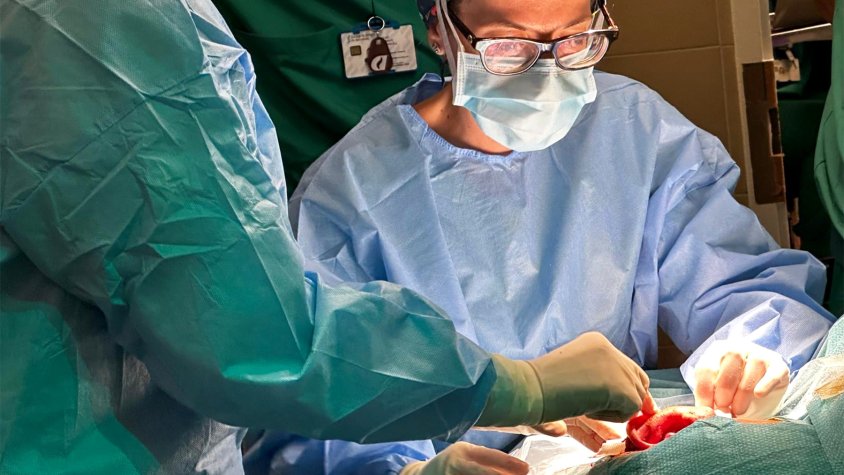 L'Hospital Parc Taulí realitza amb èxit una cirurgia pionera per extirpar un carcinoma agressiu de l'orella