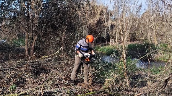 El Bosc de Santa Caterina es renova amb la plantació de 300 arbres autòctons i la canalització de la Font