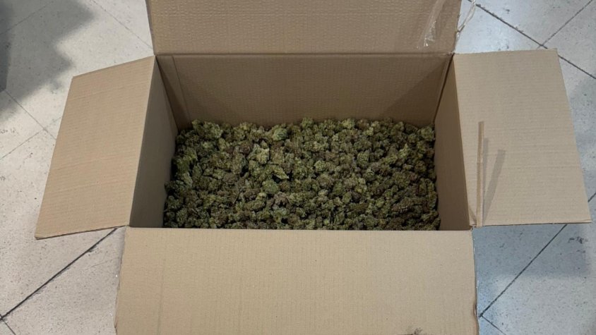 Detenen a Terrassa un home amb 3,6 quilos de cabdells de marihuana després d’una perillosa persecució
