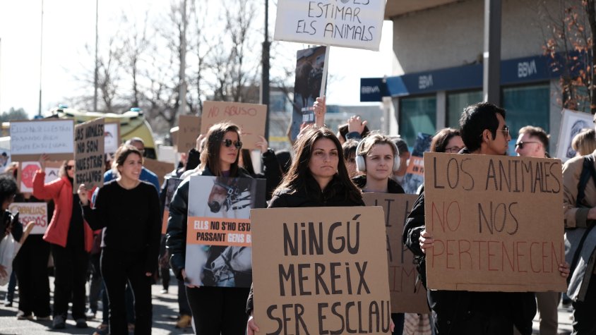 Explotació en nom de la cultura i la tradició: És hora de canviar els Tres Tombs 