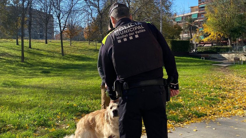 Mollet intensifica el control sobre l’Ordenança d'Animals de Companyia i interposa 368 sancions per incivisme
